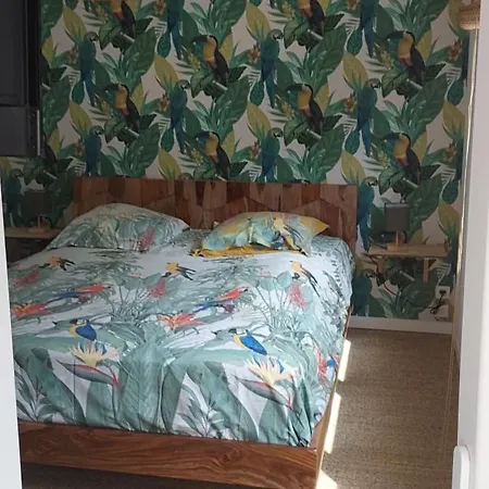 D'hôtes Un Eté Sans Fin à 50 M De La à